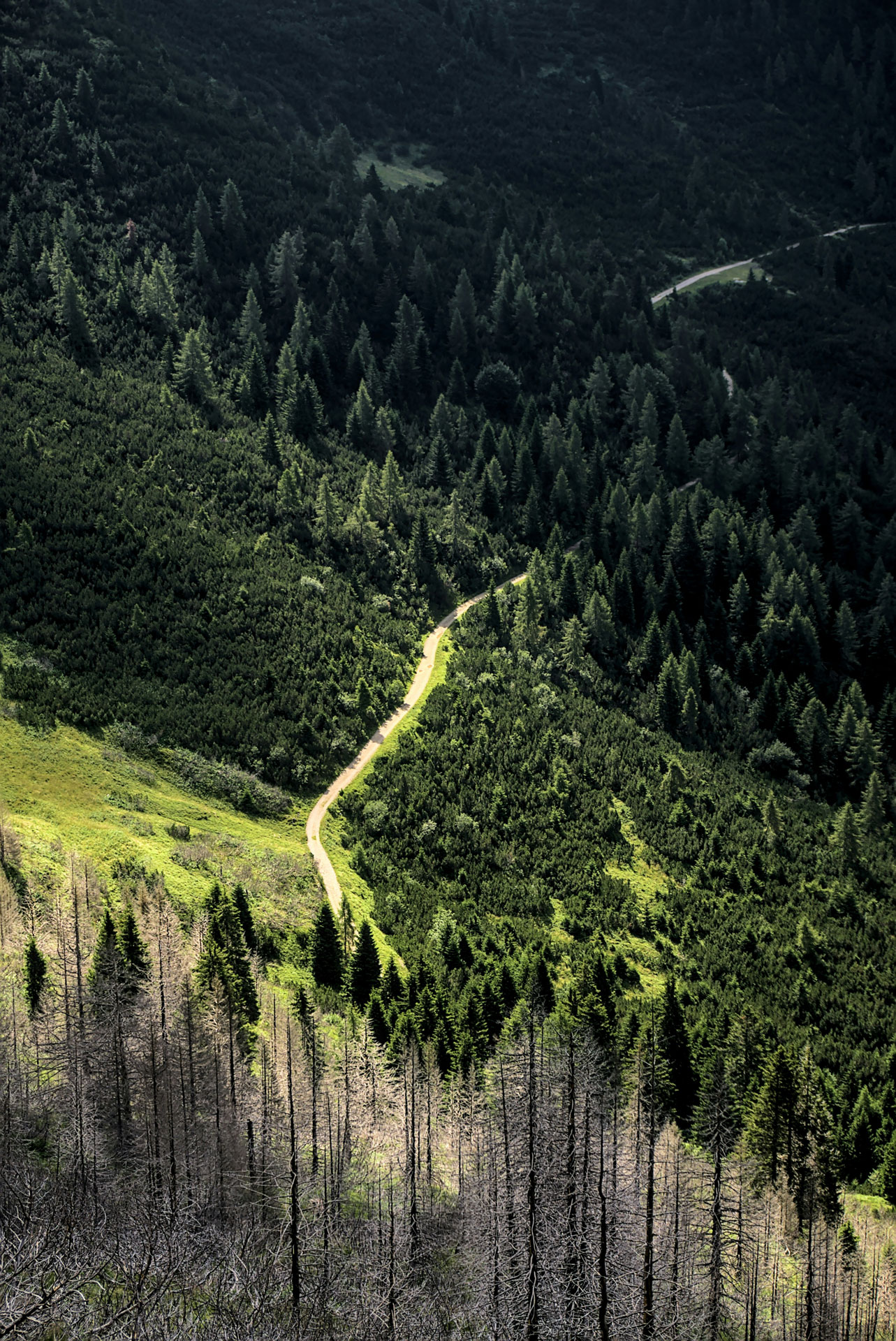 road up mountain